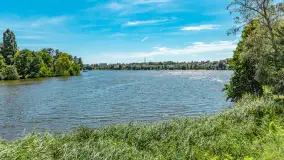 Krótki spacer po Iławie, piękne są okolice Mazur - zdjęcie 27