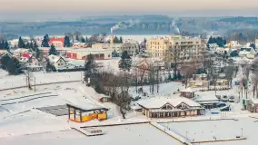 Wilkasy pod śniegiem, styczeń 2026 r. - zdjęcie 17