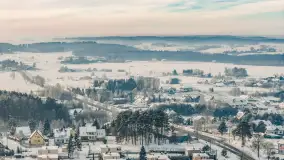 Wilkasy pod śniegiem, styczeń 2026 r. - zdjęcie 24