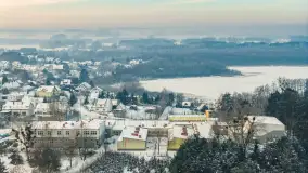 Wilkasy pod śniegiem, styczeń 2026 r. - zdjęcie 22