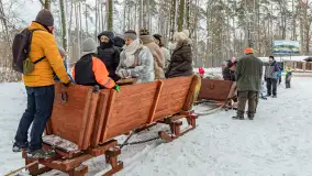 Kulig w puszczy Piskiej razem z OW Wodnik, Ruciane-Nida, Styczeń 2026 r. - zdjęcie 18