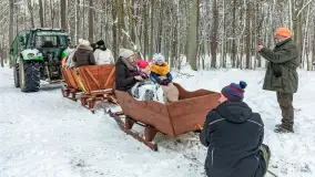 Kulig w puszczy Piskiej razem z OW Wodnik, Ruciane-Nida, Styczeń 2026 r. - zdjęcie 19
