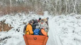 Kulig w puszczy Piskiej razem z OW Wodnik, Ruciane-Nida, Styczeń 2026 r. - zdjęcie 36