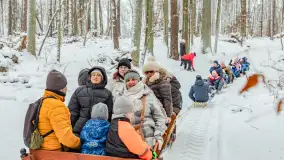 Kulig w puszczy Piskiej razem z OW Wodnik, Ruciane-Nida, Styczeń 2026 r. - zdjęcie 4