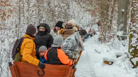 Kulig w puszczy Piskiej razem z OW Wodnik, Ruciane-Nida, Styczeń 2026 r. - zdjęcie 51