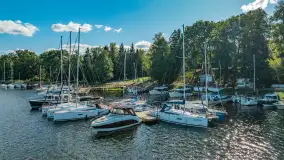 Łabędzi Ostrów z lotu ptaka, wrzesień 2024 r. - zdjęcie 15