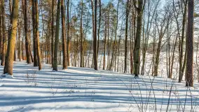 Wodnik nad jeziorem Nidzkim w zimowej scenerii, styczeń 2026 r. - zdjęcie 42