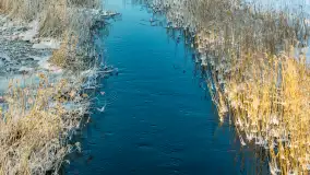 Sapina w okolicach Pozezdrza w zimowej aurze, styczeń 2026 r. - zdjęcie 10