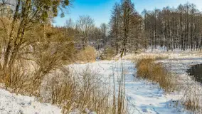 Sapina w okolicach Pozezdrza w zimowej aurze, styczeń 2026 r. - zdjęcie 2