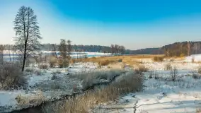 Sapina w okolicach Pozezdrza w zimowej aurze, styczeń 2026 r. - zdjęcie 1
