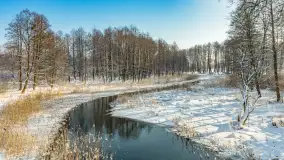 Sapina w okolicach Pozezdrza w zimowej aurze, styczeń 2026 r. - zdjęcie 7