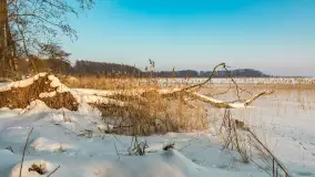 Biała i zimowa wersja mostu Sztynorckiego, styczeń 2026 r. - zdjęcie 18