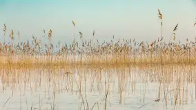 Biała i zimowa wersja mostu Sztynorckiego, styczeń 2026 r. - zdjęcie 12