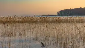 Biała i zimowa wersja mostu Sztynorckiego, styczeń 2026 r. - zdjęcie 22