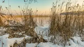 Biała i zimowa wersja mostu Sztynorckiego, styczeń 2026 r. - zdjęcie 20