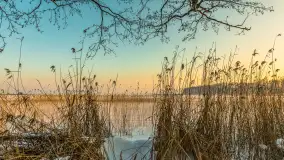 Biała i zimowa wersja mostu Sztynorckiego, styczeń 2026 r. - zdjęcie 9