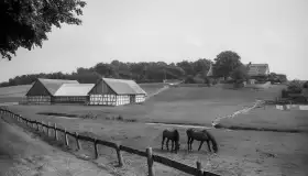 Wkrótce ożywimy zdjęcia i pocztówki ze Świętej Lipki / Heiligelinde - zdjęcie 2