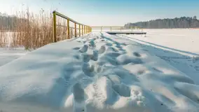 Wschodni brzeg jeziora Gołdopiwo, styczeń 2026 r. - zdjęcie 9