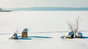 Wschodni brzeg jeziora Gołdopiwo, styczeń 2026 r. - zdjęcie 28