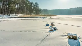 Wschodni brzeg jeziora Gołdopiwo, styczeń 2026 r. - zdjęcie 7