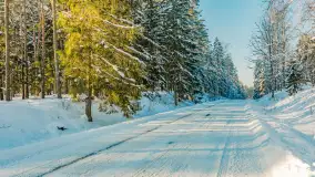 Wschodni brzeg jeziora Gołdopiwo, styczeń 2026 r. - zdjęcie 22