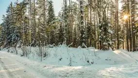 Wschodni brzeg jeziora Gołdopiwo, styczeń 2026 r. - zdjęcie 13