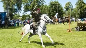 Zdjęcia: Zimnokrwiste rozgrzały serca publiczności - zdjęcie 35