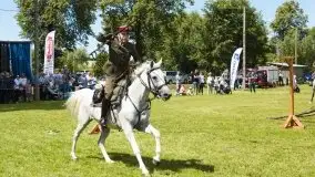 Zdjęcia: Zimnokrwiste rozgrzały serca publiczności - zdjęcie 33