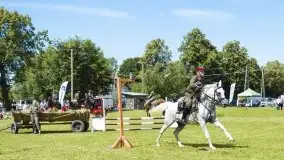 Zdjęcia: Zimnokrwiste rozgrzały serca publiczności - zdjęcie 31