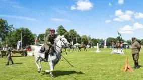 Zdjęcia: Zimnokrwiste rozgrzały serca publiczności - zdjęcie 27