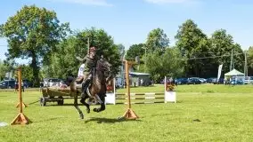 Zdjęcia: Zimnokrwiste rozgrzały serca publiczności - zdjęcie 23