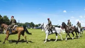 Zdjęcia: Zimnokrwiste rozgrzały serca publiczności - zdjęcie 16