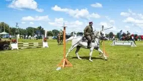 Zdjęcia: Zimnokrwiste rozgrzały serca publiczności - zdjęcie 4