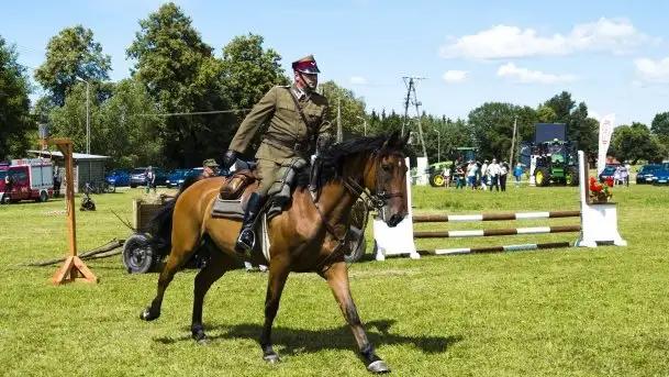 Zdjęcia: Zimnokrwiste rozgrzały serca publiczności - zdjęcie 2