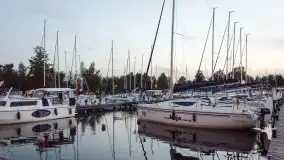 Zdjęcia: Szantowe szlagiery z Czarną Banderą - zdjęcie 6