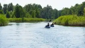Zdjęcia: Malowniczy szlak wodny z Węgorzewa na Mamry - zdjęcie 16