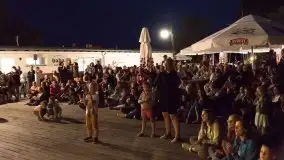 Zdjęcia: Szanty, irlandzki folk i bluegrass na sztynorckiej scenie  - zdjęcie 9