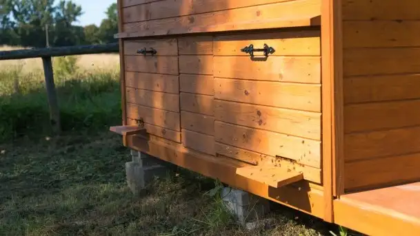 Zdjęcia: Odwiedzamy leśną pasiekę, czyli Mazury na słodko - zdjęcie 8