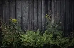 Zdjęcia: Miłośnicy Mazur - Maison du Temps - "Mazury na piechotę" - zdjęcie 4