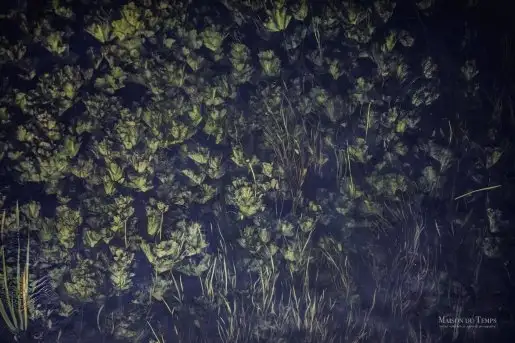 Zdjęcia: Miłośnicy Mazur - Maison du Temps - "Mazury na piechotę" - zdjęcie 3