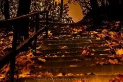 Zdjęcia: Miłośnicy Mazur - Pasja Fotografii w galerii Tomasza Ziółkowskiego - zdjęcie 7