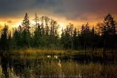 Zdjęcia: Miłośnicy Mazur - Pasja Fotografii w galerii Tomasza Ziółkowskiego - zdjęcie 6