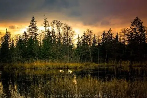 Zdjęcia: Miłośnicy Mazur - Pasja Fotografii w galerii Tomasza Ziółkowskiego - zdjęcie 6