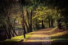 Zdjęcia: Miłośnicy Mazur - Pasja Fotografii w galerii Tomasza Ziółkowskiego - zdjęcie 5