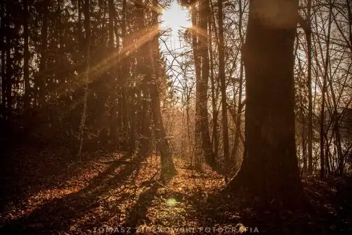 Zdjęcia: Miłośnicy Mazur - Pasja Fotografii w galerii Tomasza Ziółkowskiego - zdjęcie 1