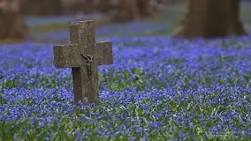 Zdjęcia: Miłośnicy Mazur - magia w zdjęciach Grzegorza - zdjęcie 31