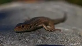 Zdjęcia: Miłośnicy Mazur - magia w zdjęciach Grzegorza - zdjęcie 28