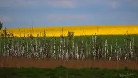 Zdjęcia: Miłośnicy Mazur - magia w zdjęciach Grzegorza - zdjęcie 22