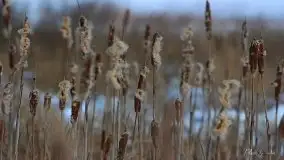 Zdjęcia: Miłośnicy Mazur - magia w zdjęciach Grzegorza - zdjęcie 20