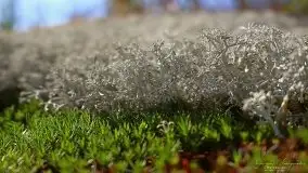 Zdjęcia: Miłośnicy Mazur - magia w zdjęciach Grzegorza - zdjęcie 12